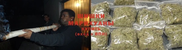 молекула духа Богданович