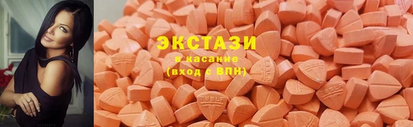 молекула духа Богданович