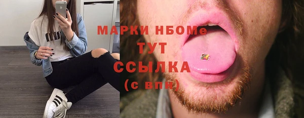 прущий лед Богородицк