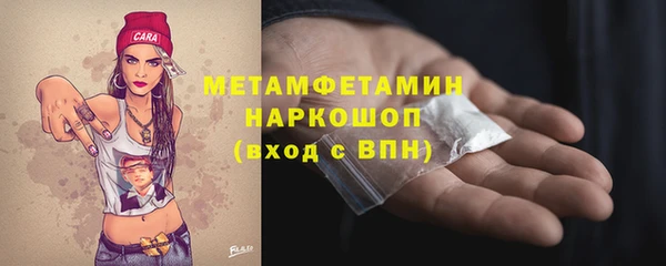 молекула духа Богданович