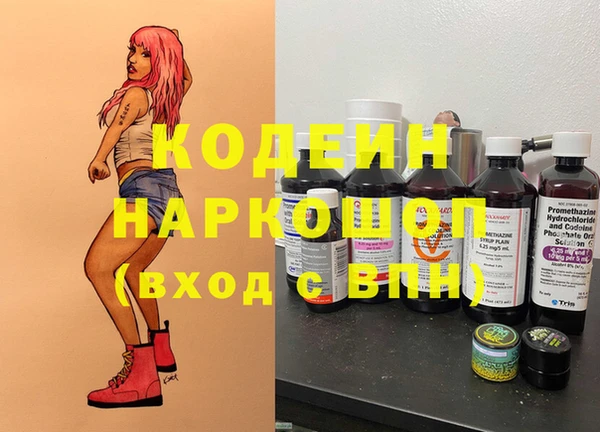 молекула духа Богданович
