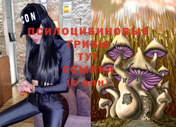 молекула духа Богданович