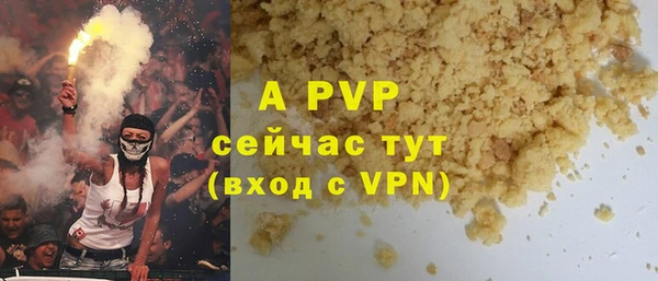 молекула духа Богданович