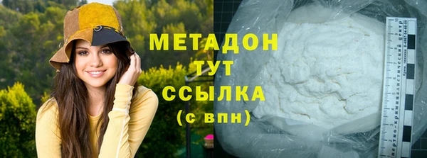 молекула духа Богданович