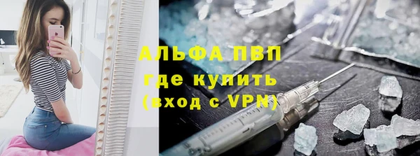 молекула духа Богданович