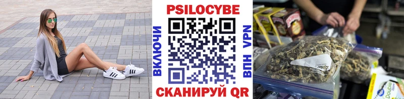 Галлюциногенные грибы Psilocybine cubensis  Купить где  Ейск 